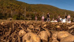 Gaziemir'den üretici ve ihtiyaç sahiplerine "alım garantili" destek