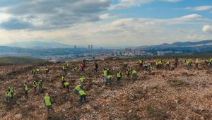 İzmir'e 10 yılda 28 milyon adet fidan