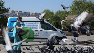 Konak’ta Can dostlara özel hizmet