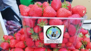 Menemen Belediyesi’nden Büyükşehir’in Seyyar Pazar uygulamasına “2 ton çilek” desteği