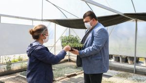 Seferihisar Belediyesi’nden yerli tohuma tam destek! Üreticiye 50 bin fide