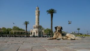 Sokağa çıkma yasağı bitmeden yeni yasak gündemde!