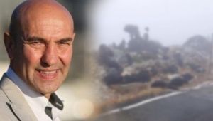 Annesiz oğlaklar Büyükşehir’e emanet