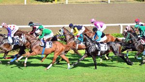 At yarışları başlıyor! İzmir'de ne zaman yapılacak ?