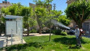 Bornova’da uçkunlar için ilaçlama