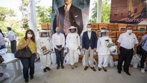 Büyükşehir'den üreticilere büyük destek! 464 arılı, 232 arısız kovan üreticiye hibe edildi