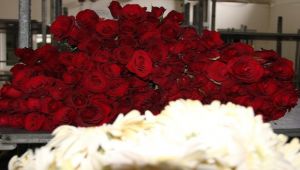 Çiçekçiler Anneler Günü'nde sokağa çıkma kısıtlamasından muafiyet istiyor