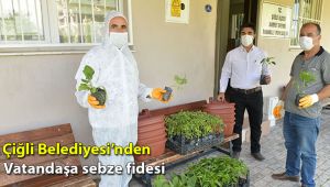 Çiğli Belediyesi’nden vatandaşa sebze fidesi