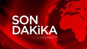 Son dakika... Erdoğan "Normalleşme" planını açıkladı! AVM'ler için hangi karar alındı?
