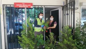 İzmir Büyükşehir Belediyesi'nden kadın muhtarlara anneler günü sürprizi