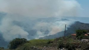 İzmir'de ormanlık alandaki yangın paniğe neden oldu