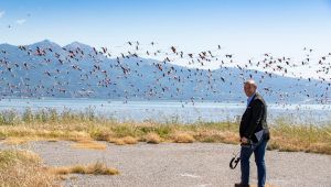 İzmir doğal yaşamla bütünleşiyor! Başkan "Güney Deniz Deltası" projesini yerinde inceledi