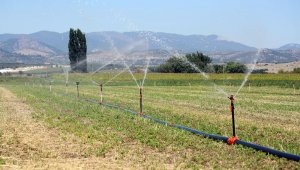 İzmir'de 400 bin dekar tarım arazisi sulanmaya başladı