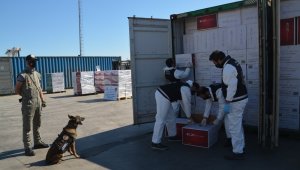 İzmir'de rekor operasyon: 37 milyon makaron ele geçirildi