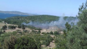 İzmir'deki yangınlar kontrol altında