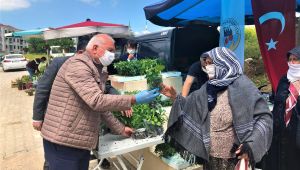 Kemalpaşa Belediyesi’nden vatandaşa 30 bin fide desteği