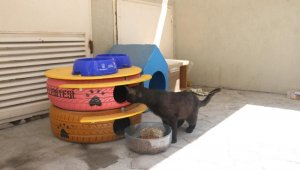 Konak'ta can dostlara da bayram hediyesi