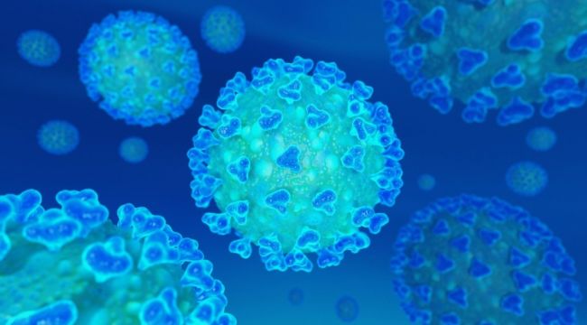 "Korona' ile ilgili 14 marka başvurusu: 'Koronalım, Korona günlerinde aşk'