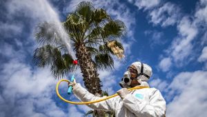 Koronavirüs salgınında o iller için yeni uygulama gündemde: Tersine karantina!