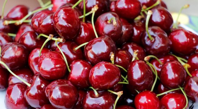 “Mendegüme Toptan Erik ve Kiraz Pazarı” 1 Haziran’da açılıyor