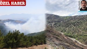 ÖZEL HABER – İzmir'in ciğerleri için geri sayım başladı! 2020 yılı içerisinde zarar görmüş tüm alanlar ağaçlandırılacak!