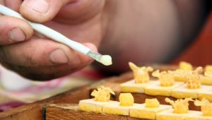 Servet değerinde! Gramı 8, kilosu 8 bin TL