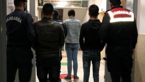 Tire'de küçükbaş hayvan hırsızlığına 3 tutuklama