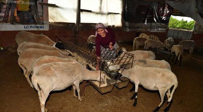Başkan Soyer'in duyurduğu