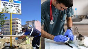 Buca Belediyesi 1 yılda 8 bin hayvana kucak açtı