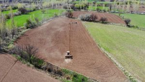 Devlet 7 ilde ücretsiz tarım arazisi tahsis edecek