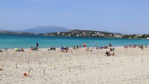 Ilıca Plajı yine cıvıl cıvıl !