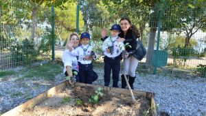 İzmir'de covid-19 a karşı terapi bahçeleri