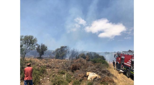 İzmir'de makilik alanda korkutan yangın