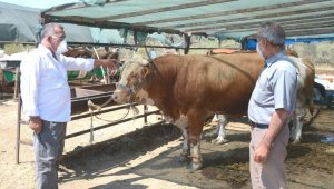 Aliağa kurban kesim yerlerini belirledi!