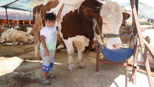 Bayraklı Kurban Bayramı'na hazır!