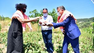 Bornova’da hasat başladı!