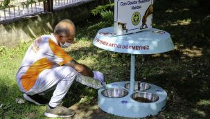 Buca Belediyesi’nden can dostlara mama ve su seferberliği