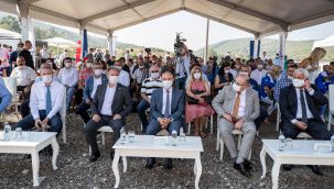 Büyükşehir'den sokak hayvanları için rehabilitasyon ve sahiplendirme merkezi!