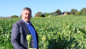 Çeşme Belediyesi'nin 'Tarladan Sofraya Üretici Pazarı' Açılıyor!