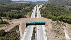 Çeşme otoyolundaki doğal yaşam köprüsünün yapımı tamamlandı