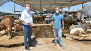 Çiğli'de sosyal mesafeli kurban pazarlığı!