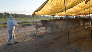 Çiğli Kurban Bayramına hazır!