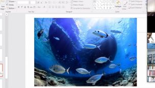 Deniz Ticaret Odası İzmir şube medya ve fotoğraf yarışması sonuçlandı!