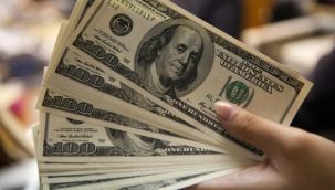 Enflasyon beklentisi yeniden çift hanede, dolar/TL öngörüsü 7 lirayı aştı