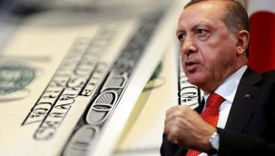 Erdoğan 'dolarınızı satın' dedi, vatandaş 71,6 milyar dolar satın aldı!