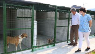 Güzelbahçe Belediyesi’nden Can Dostlara Yeni Yuva