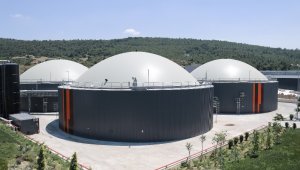 Hayvan dışkıları elektrik ve organik gübreye dönüşüyor!