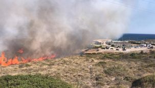 İzmir Alaçatı'da korkutan yangın! Hızla ilerlemeye devam ediyor