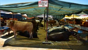 İzmir'de kurban satışları beklentinin altında kaldı: Kurbanlıklara dönüp bakan yok