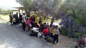 İzmir'de 42 göçmen yakalandı